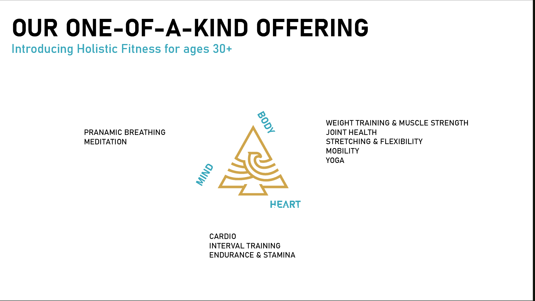 Holistic Mind, Body, Heart Training Approach